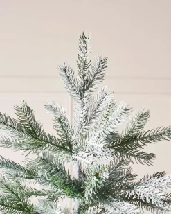 WeRChristmas Budget Christmas Trees|Snow Flocked Christmas Trees^Frosted Siberian Mixed Pine Christmas Tree, 6 Ft