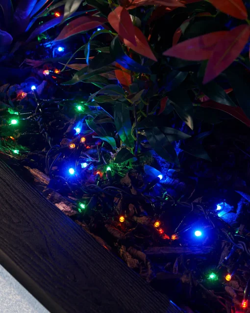 WeRChristmas Link Pro|Connectable Lights^LINK PRO LED Cluster Lights, Black Cable, Multi Colour