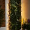 WeRChristmas Link Pro|Cluster Lights^LINK PRO LED Cluster Lights, Black Cable, Warm White