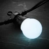 WeRChristmas Link Pro|Festoon Lights^LINK PRO LED Festoon Lights, Black Cable, White