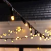WeRChristmas Link Pro|Fairy Lights^LINK PRO Twinkle LED String Lights, Black Cable, Warm White