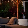 WeRChristmas Link Pro|Icicle Lights^LINK PRO Twinkling LED Icicle Lights, Warm White