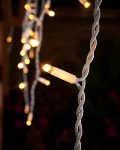 WeRChristmas Link Pro|Icicle Lights^LINK PRO Twinkling LED Icicle Lights, Warm White