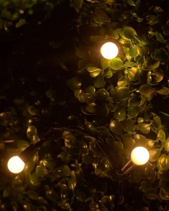 WeRChristmas Link Up|Fairy Lights^LINK UP LED Berry Lights, Black Cable, Warm White