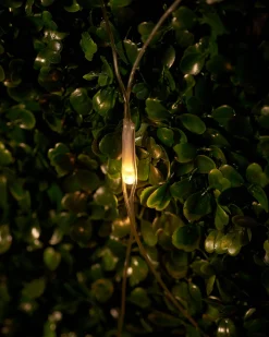 WeRChristmas Link Up^LINK UP LED Net Lights, 3 M X 3 M, Warm White