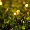 WeRChristmas Link Up|Fairy Lights^LINK UP LED String Lights, Black Cable, Warm White