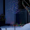WeRChristmas Tree Silhouettes^Multi-Coloured Twig Tree, 6 Ft