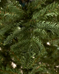 WeRChristmas Unlit Christmas Trees^Nordmann Fir Christmas Tree, 8 Ft