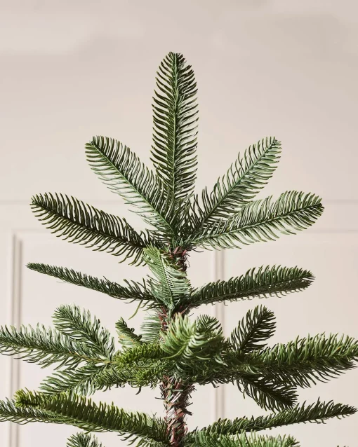 WeRChristmas Unlit Christmas Trees^Nordmann Fir Christmas Tree, 8 Ft