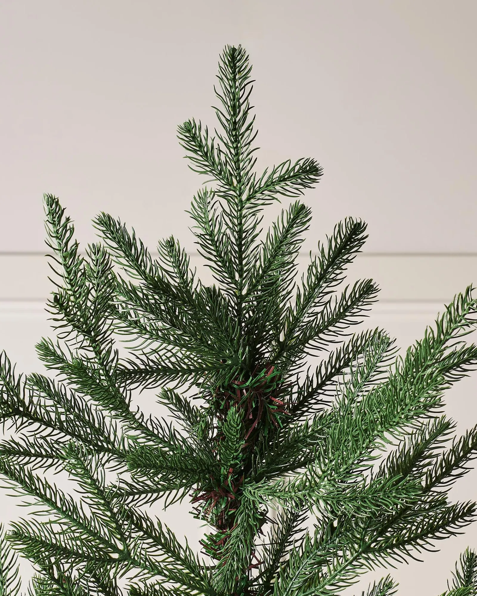 WeRChristmas Budget Christmas Trees|Unlit Christmas Trees^Northern Fir Christmas Tree, 6 Ft