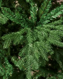 WeRChristmas Unlit Christmas Trees^Northern Fir Christmas Tree, 7 Ft