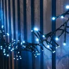 WeRChristmas Cluster Lights|Tree Lights^Outdoor Cluster Multi-Function 500 LED Light String, Ice White