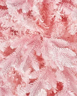 WeRChristmas Unlit Christmas Trees^Pink Sugar Snow Flocked Christmas Tree, 6 Ft