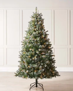 WeRChristmas Snow Flocked Christmas Trees|Pre Lit Christmas Trees^Pre-lit Blue Brockton Spruce Christmas Tree, 6 Ft