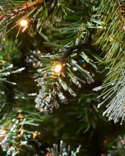 WeRChristmas Snow Flocked Christmas Trees|Pre Lit Christmas Trees^Pre-lit Blue Brockton Spruce Christmas Tree, 7 Ft