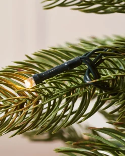 WeRChristmas Premium Christmas Trees|Pre Lit Christmas Trees^Pre-Lit Craford Pine Christmas Tree, 7 Ft