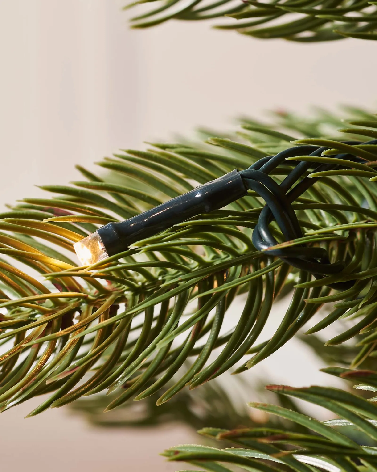 WeRChristmas Pre Lit Christmas Trees|Premium Christmas Trees^Pre-Lit Craford Pine Christmas Tree, 8 Ft