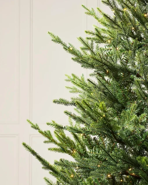 WeRChristmas Premium Christmas Trees|Pre Lit Christmas Trees^Pre-Lit Douglas Fir Christmas Tree, 7 Ft