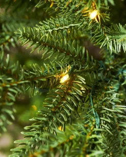 WeRChristmas Premium Christmas Trees|Pre Lit Christmas Trees^Pre-Lit Douglas Fir Christmas Tree, 7 Ft
