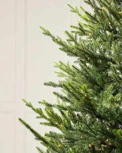 WeRChristmas Premium Christmas Trees|Pre Lit Christmas Trees^Pre-Lit Douglas Fir Christmas Tree, 7 Ft