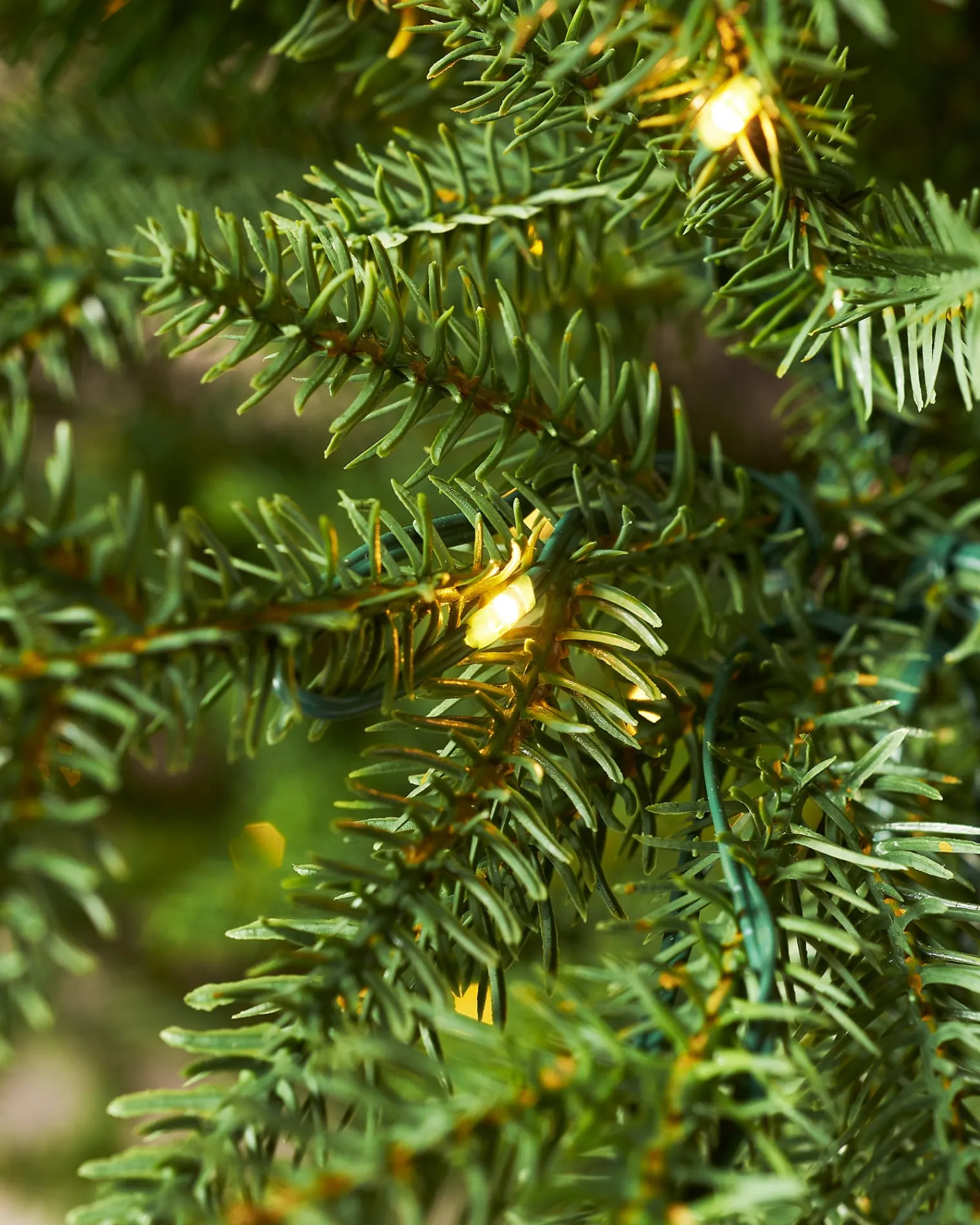WeRChristmas Premium Christmas Trees|Pre Lit Christmas Trees^Pre-Lit Douglas Fir Christmas Tree, 7 Ft
