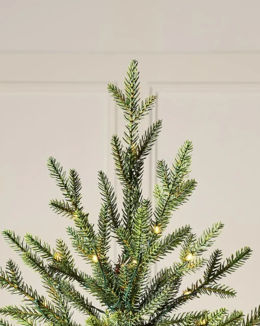 WeRChristmas Premium Christmas Trees|Pre Lit Christmas Trees^Pre-Lit Douglas Fir Christmas Tree, 7 Ft