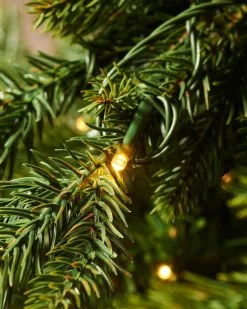 WeRChristmas Premium Christmas Trees|Pre Lit Christmas Trees^Pre-Lit Himalayan Fir Christmas Tree, 7 Ft