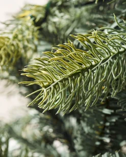 WeRChristmas Pre Lit Christmas Trees^Pre-Lit Mixed Pine Dual Christmas Tree, 7 Ft