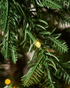 WeRChristmas Pre Lit Christmas Trees^Pre-Lit Mixed Pine Natural Bark Christmas Tree, 8 Ft