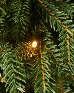 WeRChristmas Budget Christmas Trees|Potted Christmas Trees^Pre-Lit Norway Spruce Potted Christmas Tree, 5 Ft