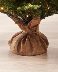 WeRChristmas Budget Christmas Trees|Potted Christmas Trees^Pre-Lit Norway Spruce Potted Christmas Tree, 5 Ft