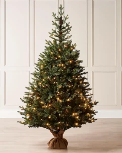 WeRChristmas Budget Christmas Trees|Potted Christmas Trees^Pre-Lit Norway Spruce Potted Christmas Tree, 5 Ft