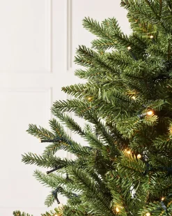WeRChristmas Budget Christmas Trees|Potted Christmas Trees^Pre-Lit Norway Spruce Potted Christmas Tree, 5 Ft