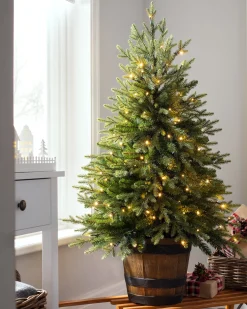 WeRChristmas Budget Christmas Trees|Potted Christmas Trees^Pre-Lit Potted Pine Christmas Tree, 4 Ft