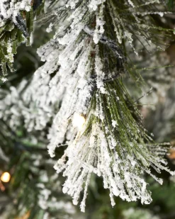 WeRChristmas Premium Christmas Trees|Snow Flocked Christmas Trees^Pre-Lit Slim Snow Flocked Spruce Christmas Tree, 10 Ft