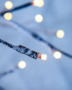 WeRChristmas Tree Silhouettes|Budget Christmas Trees^Pre-Lit Snow Flocked Twig Tree, 4 Ft