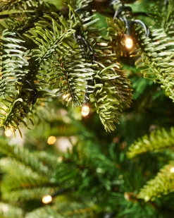 WeRChristmas Premium Christmas Trees|Pre Lit Christmas Trees^Pre-Lit Sugar Pine Christmas Tree, 7 Ft