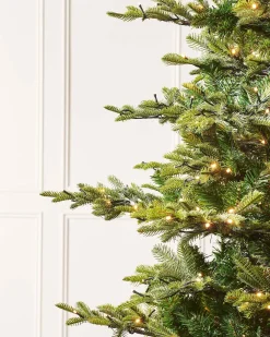 WeRChristmas Premium Christmas Trees|Pre Lit Christmas Trees^Pre-Lit Sugar Pine Christmas Tree, 8 Ft