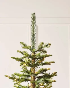 WeRChristmas Premium Christmas Trees|Pre Lit Christmas Trees^Pre-Lit Sugar Pine Christmas Tree, 8 Ft