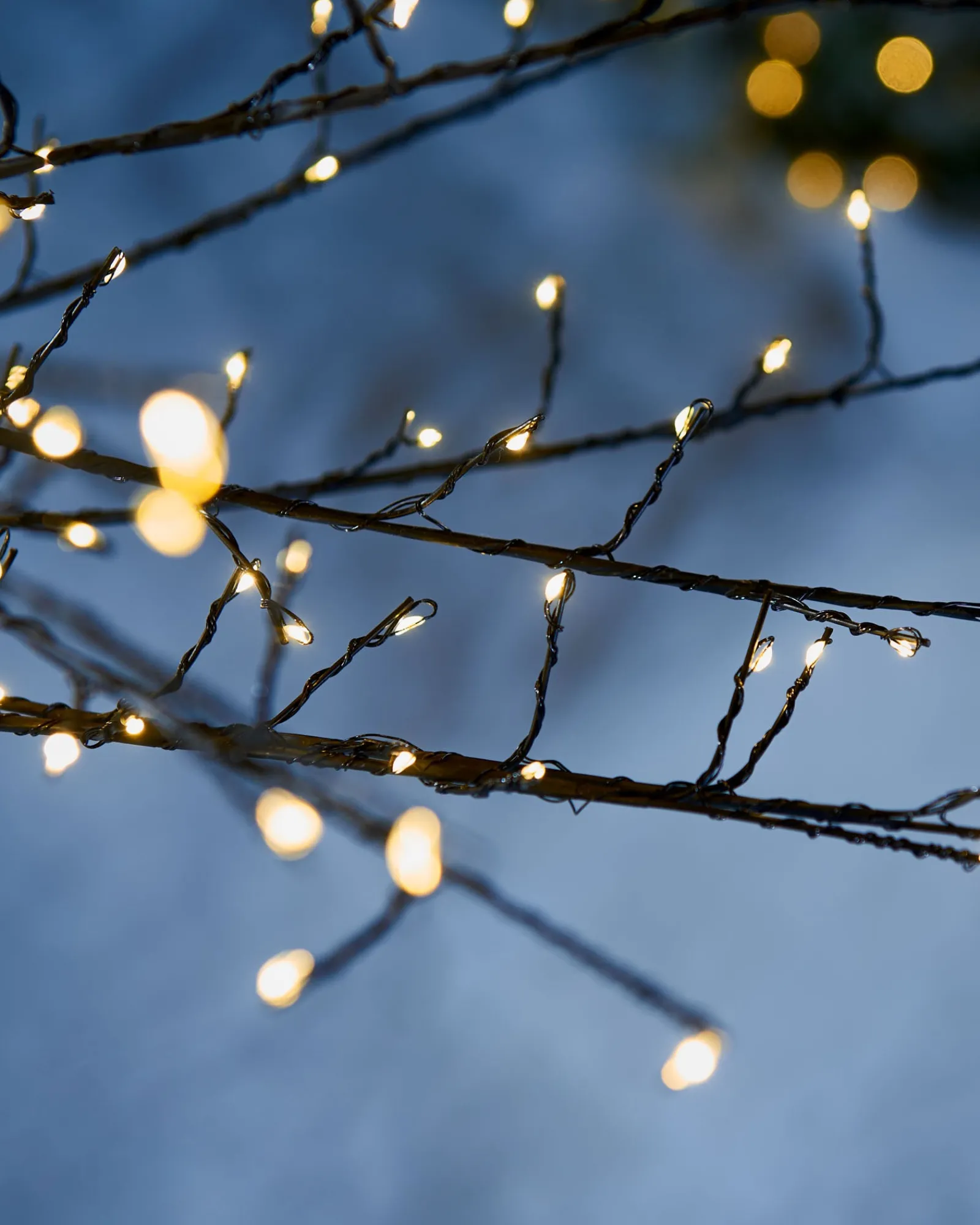 WeRChristmas Tree Silhouettes^Pre-Lit Twig Tree, 6 Ft