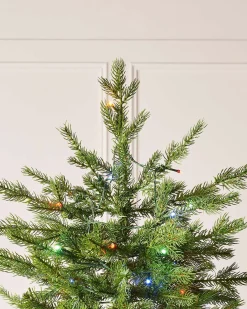 WeRChristmas Premium Christmas Trees|Pre Lit Christmas Trees^Pre-Lit Windsor Fir Christmas Tree, Dual Multi Colour, 6 Ft