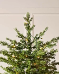 WeRChristmas Premium Christmas Trees|Pre Lit Christmas Trees^Pre-Lit Windsor Fir Christmas Tree, Dual Multi Colour, 6 Ft