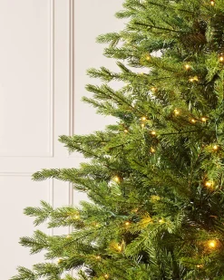 WeRChristmas Premium Christmas Trees|Pre Lit Christmas Trees^Pre-Lit Windsor Fir Christmas Tree, Dual Multi Colour, 6 Ft