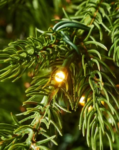 WeRChristmas Premium Christmas Trees|Pre Lit Christmas Trees^Pre-Lit Windsor Fir Christmas Tree, Dual Warm White, 8 Ft